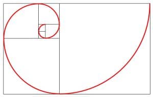 Fibonacci Spiral Construction